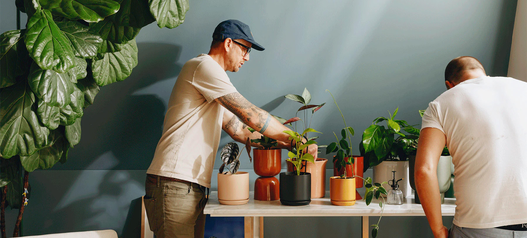 Outdoor Garden Store -Outdoor Garden Store 1