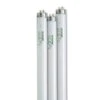 4' SunLite® T-8 Bulbs, Set Of 3 1 4' SunLite® T-8 Bulbs, Set Of 3 -Outdoor Garden Store 34745 001ed tif