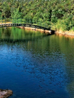 Aquasphere Pond Cleaners -Outdoor Garden Store 37425 001ed 1