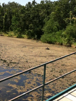 Blast, 2,500 Gallon, 5 Packets -Outdoor Garden Store 37425 001v 1 1