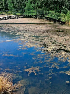 Aquasphere Pond Cleaners -Outdoor Garden Store 37425 002ed 1