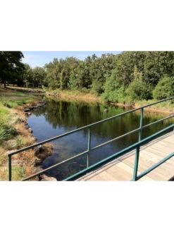 Blast, 125,000 Gallon, 12 Packets -Outdoor Garden Store 37425 002v 1