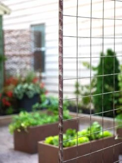 Jardin Rose Arch -Outdoor Garden Store 38690 9948 tif