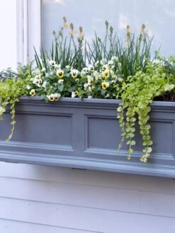 Fairfield Self-Watering Window Box, 3’ -Outdoor Garden Store 39 344 9360 tif