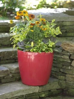 Viva Round Self-Watering Rolling Planter, 17.25” Diameter -Outdoor Garden Store 39326 046 tif