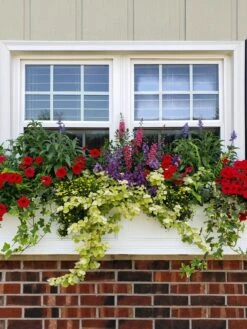 Fairfield Self-Watering Window Box, 4’ 10 Fairfield Self-Watering Window Box, 4’ -Outdoor Garden Store 39345 106V tif