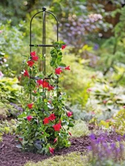 Essex Round Trellises -Outdoor Garden Store 39544 2267 tif