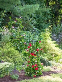 Essex Round Trellises -Outdoor Garden Store 39545 2286 tif