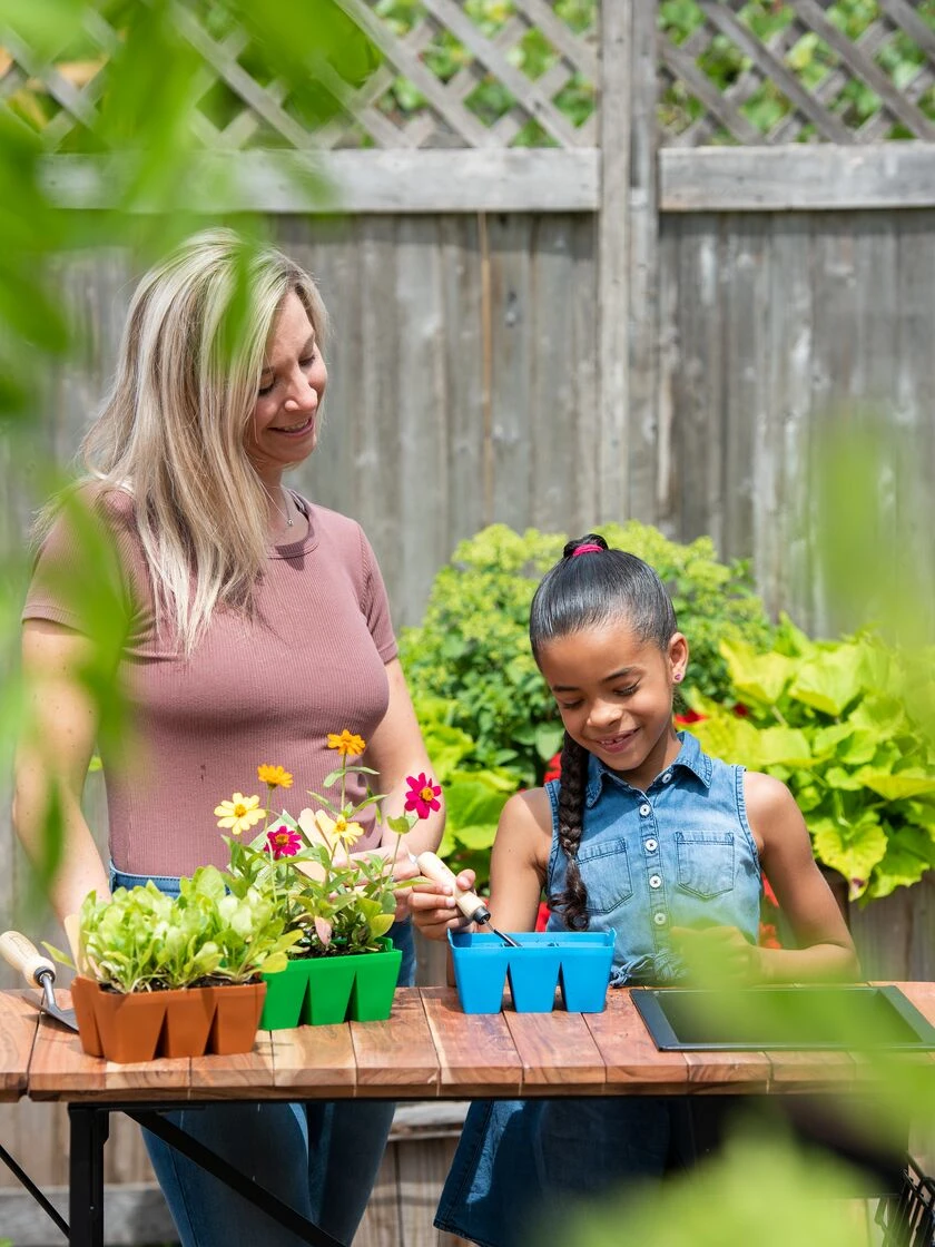 Sili-Seedlings® Seedling Tray, 6-Cell 4 Sili-Seedlings® Seedling Tray, 6-Cell - Image 2