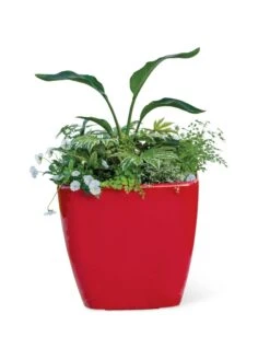 Viva Square Self-Watering Rolling Planter, 20" Diameter, Set Of 2 -Outdoor Garden Store 3 4 crop 8612930 0037 tif