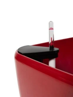 Viva Square Self-Watering Rolling Planter, 20" Diameter, Set Of 2 -Outdoor Garden Store 3 4 crop 8612930 0107