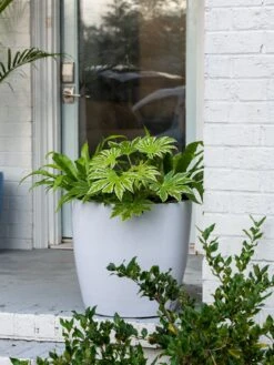 Viva Round Self-Watering Rolling Planter, 20" Diameter, Set Of 2 -Outdoor Garden Store 3 4 crop 8612933 0025 tif