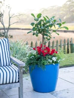 Viva Round Self-Watering Rolling Planter, 20" Diameter, Set Of 2 -Outdoor Garden Store 3 4 crop 8612933 5312 tif