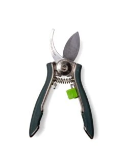 Houseplant Pruner -Outdoor Garden Store 3 4 crop 8612961 0011