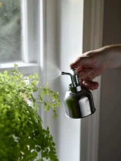 Indoor Plant Mister -Outdoor Garden Store 3 4 crop 8612962 02V tif