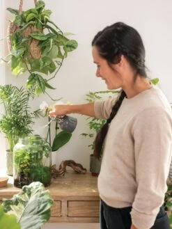 Indoor Plant Mister -Outdoor Garden Store 3 4 crop 8612962 3792