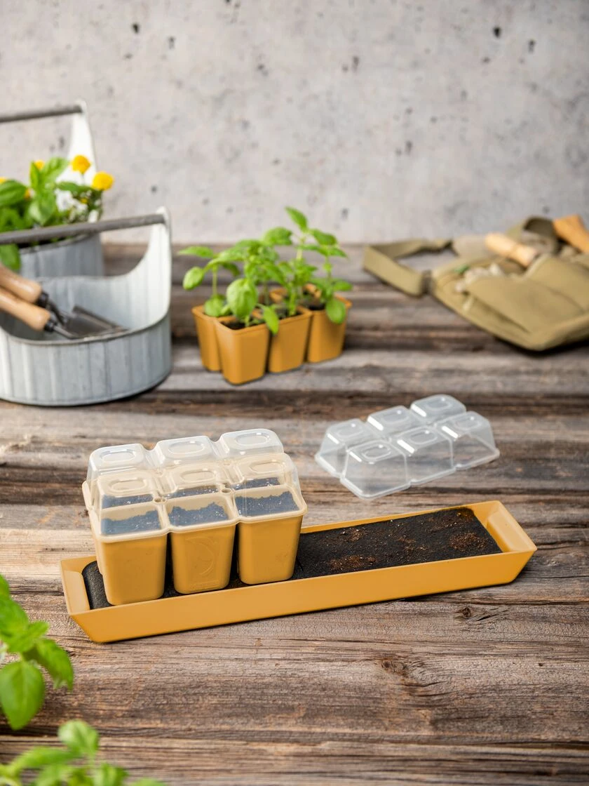 Gardener's Best® Humidity Dome, Set Of 2 5 Gardener's Best® Humidity Dome, Set Of 2 - Image 3