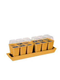 Gardener's Best® Humidity Dome, Set Of 2 9 Gardener's Best® Humidity Dome, Set Of 2 -Outdoor Garden Store 3 4 crop 8613067 5879 tif