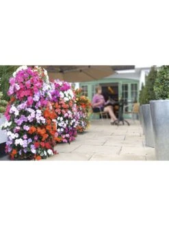 Flower Tower 10 Flower Tower -Outdoor Garden Store 3 4 crop 8613624 04V