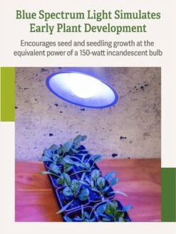 Miracle LED® Grow Light Bulb, Blue 12 Miracle LED® Grow Light Bulb, Blue -Outdoor Garden Store 3 4 crop Miracle Bulb Blue 3