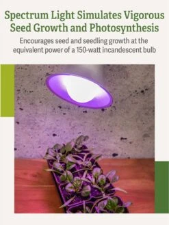 Miracle LED® Grow Light Bulb, Red And Blue 12 Miracle LED® Grow Light Bulb, Red And Blue -Outdoor Garden Store 3 4 crop Miracle Bulb RB 3