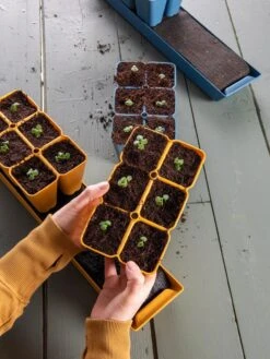 Gardener's Best® XL Seed Starting Kit -Outdoor Garden Store 40 135 6186