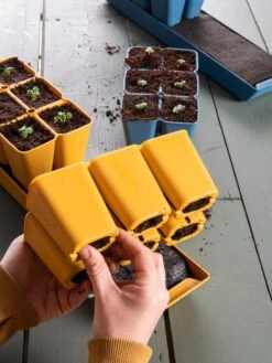 Gardener's Best® XL Seed Starting Kit -Outdoor Garden Store 40 135 6188