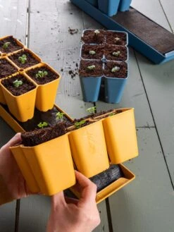 Coco Coir Seed Starting Mix 7 Coco Coir Seed Starting Mix -Outdoor Garden Store 40 135 6192