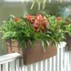 Self-Watering Railing Planter 2 Self-Watering Railing Planter -Outdoor Garden Store 40145 040 tif
