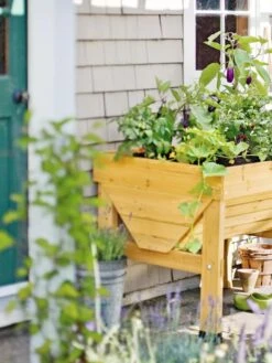 Compact VegTrug® Patio Garden -Outdoor Garden Store 40365B 100 tif