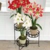 Nesting Triple Pot Stand -Outdoor Garden Store 8586747 6012 tif