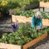 3' Raised Beds -Outdoor Garden Store 8586762 3453 tif