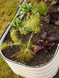 Birdies™ Modular Metal Raised Bed -Outdoor Garden Store 8586930 6019 tif