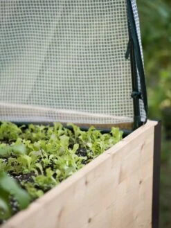 Planter Box, Frame And 2 Covers Kit, 2' X 4' -Outdoor Garden Store 8587631 265 tif 1