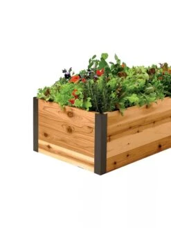 Deep Root Raised Beds, 14" Deep 2' Wide -Outdoor Garden Store 8587798 001E 1