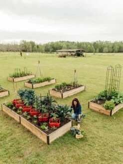 Deep Root Raised Beds, 14" Deep 4' Wide -Outdoor Garden Store 8587813 505 tif