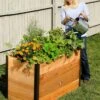 Elevated Raised Bed, 2' X 4' -Outdoor Garden Store 8587822 675 tif