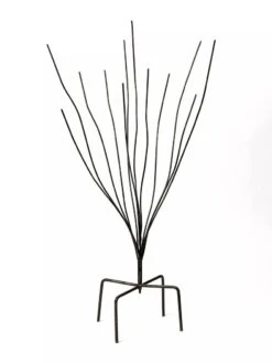 Bottle Bush 7 Bottle Bush -Outdoor Garden Store 8588047 0697