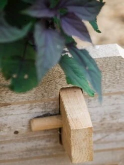 Farmstead Cedar Raised Garden Beds, 2' -Outdoor Garden Store 8588144 12V tif