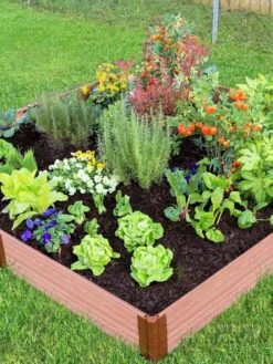 Composite Raised Bed With 1" Boards, 11" 24 Composite Raised Bed With 1" Boards, 11" -Outdoor Garden Store 8588274 03V tif
