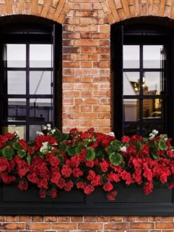 Fairfield Self-Watering Window Box, 5’ 14 Fairfield Self-Watering Window Box, 5’ -Outdoor Garden Store 8588938 102V tif