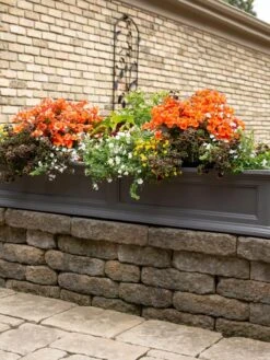 Fairfield Self-Watering Window Box, 5’ 15 Fairfield Self-Watering Window Box, 5’ -Outdoor Garden Store 8588938 105V tif