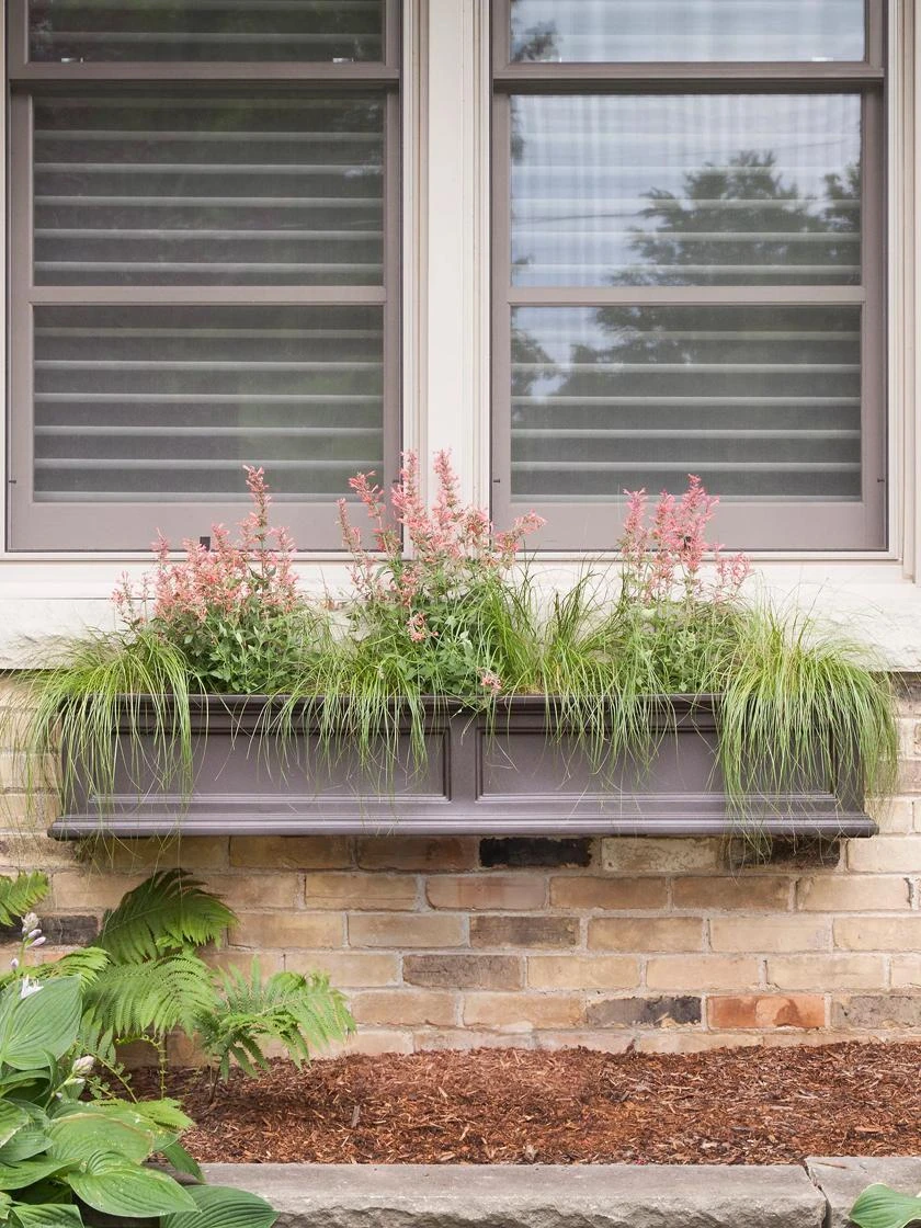 Fairfield Self-Watering Window Box, 5’ 3 Fairfield Self-Watering Window Box, 5’