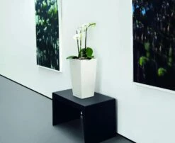 Lechuza® Cubico Color Tall Self-Watering Planters 10 Lechuza® Cubico Color Tall Self-Watering Planters -Outdoor Garden Store 8589485 03V tif