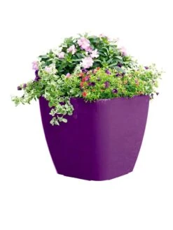 Viva Square Self-Watering Rolling Planter, 17.5" Diameter -Outdoor Garden Store 8589778PR 6126 tif