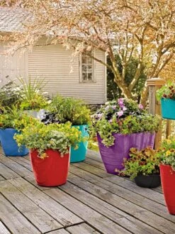 Viva Square Self-Watering Rolling Planter, 14" Diameter -Outdoor Garden Store 8589778 8000 tif 1