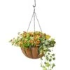 AquaSav™ Oxford Hanging Basket, 14" -Outdoor Garden Store 8589789 028 tif