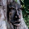 Friendly Ent Tree Face -Outdoor Garden Store 8589841 001v