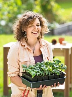 Growease Seed Starter Kit -Outdoor Garden Store 8589987 0446 tif