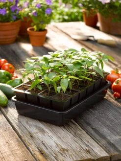 Growease Seed Starter Kit -Outdoor Garden Store 8589987 1148 tif